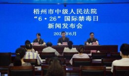 梧州新闻爆料,揭秘梧州最新动态，聚焦民生热点